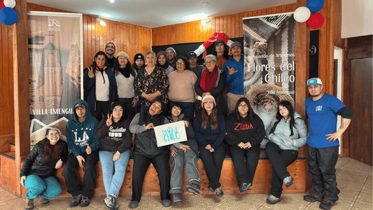 Studying tourism in Aysén and seeing Puyuhuapi for the first time