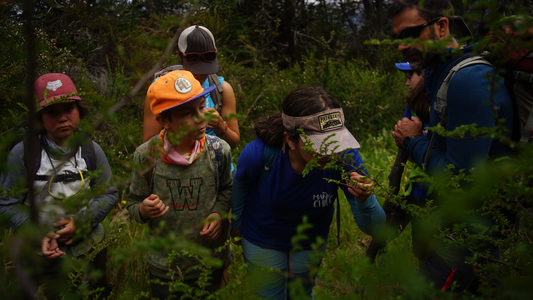 Outdoor education program for children and adolescents.
