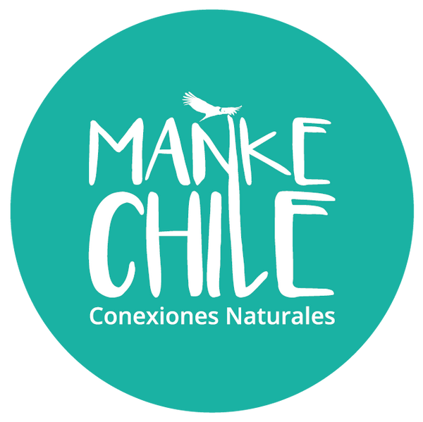 Mañke Chile
